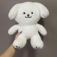 チャンモン　40cm ジェノぬいぐるみ チャンモン nctdream ジェノ 40cm ぬいぐるみの通販 by SUNDY's