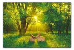 カークレイナートの中古 未使用品を探そう メルカリ