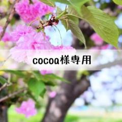 cocoa様 リクエスト 2点 まとめ商品