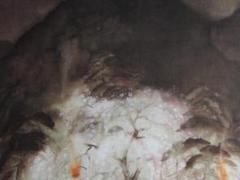 冨田溪仙、【祇園夜桜】、希少な額装用画集より、美品、新品額装付 冨田溪仙、【祇園夜桜】、希少な額装用画集より、美品、新品額装付