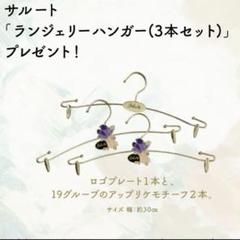 サルート 90g 19g ノベルティハンガー 6本セット ステッカー