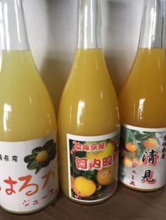 柑橘ストレートジュース 6本 みかん ミカン