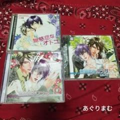 BLCD 桜賀めい「ワルイコトシタイシリーズ」 - メルカリ
