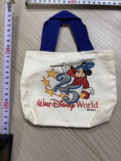 ウォルトディズニーワールド25周年 ミニバック - メルカリ