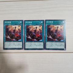51VpGfufmVL._AC_UF350,