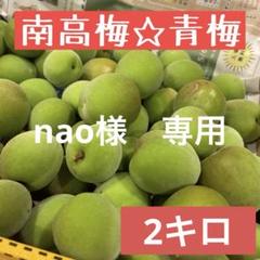 速くおよび自由な 2025年最新】無農薬 梅 愛知の人気アイテム - メルカリ フルーツ・果実
