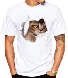 【大特価】✨Tシャツ 猫 おもしろ トリックアート Lサイズ ブラウンネコ