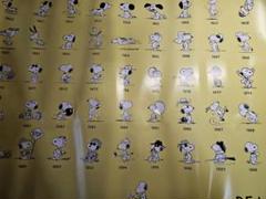 2025年最新】完全版 ピーナッツ全集 25の人気アイテム - メルカリ