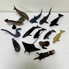チョコエッグ 海の生き物 動物フィギュア
