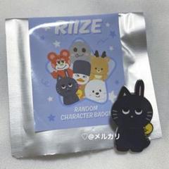 RIIZE ウォンビン　落下物　ぬいぐるみバッジ　トニャンドク RIIZE キャラクターバッジ ウォンビン MD トニャンドク - メルカリ