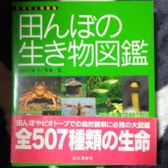 田んぼの生き物図鑑