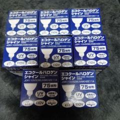 2025年最新】YAZAWAエコクールハロゲンシャインの人気アイテム