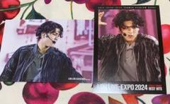 EXPO 佐藤蒼⻁