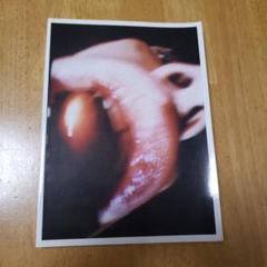 ★美品★ミッシェルガンエレファント　ツアーパンフレットセット　写真集 ミッシェルガンエレファント ツアー パンフレット ワールドギア