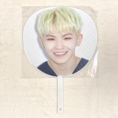 SEVENTEEN ウジ グッズ トレカ チェキ DVD うちわ アクスタ SEVENTEEN ウジ トレカ36枚 アクキー シリコンバンド まとめ売り