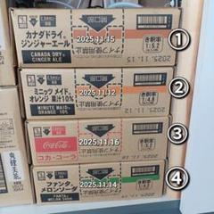 値下げ！①メロンソーダ【業務用 ドリンクサーバー用原液シロップ】 ④メロンソーダ【業務用 ドリンクサーバー用原液シロップ