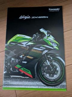 値下げKawasaki NinjaZX25RSEリアカウル左右