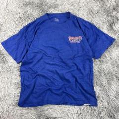 Hanes Beefy-TロイヤルブルーTシャツ/アメリカ古着/観光地T