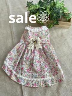 わんこ服 ❁⃘ SALE品