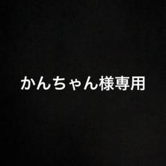 かんちゃん様専用 TOMIX92754小田急ロマンスカー50000形VSE