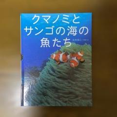 クマノミとサンゴの海の魚たち　ちしきのポケット5