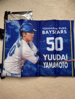 横浜DeNAベイスターズ／ブラインドシートクッション山本選手