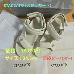 新品　未使用　スタッカート　レディース　シューズ　箱なし スタッカート STACCATO スタッカート クリスタル ニット