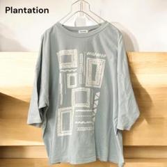 2025年最新】Plantation レディース 半袖(Tシャツ) Tシャツ
