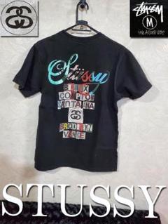 STUSSY（ステューシー）Tシャツno6サイズM
