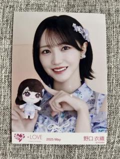 イコラブ　生写真　直筆　野口衣織　ぬいぐるみコラボ Amazon.co.jp: イコラブ 生写真 野口衣織 直筆サイン : おもちゃ