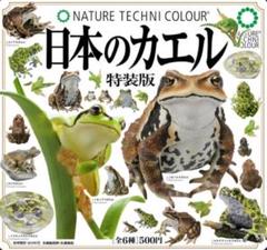 2025年最新】ネイチャーテクニカラー トウキョウダルマガエルの