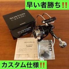 17サステインC3000HG 早い者勝ち‼️ 17サステインC3000HG 早い者勝ち‼️ - メルカリ