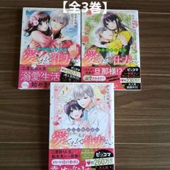 美品❣️ 新しい婚約者は私を愛でたくて仕方ない 【全3巻】