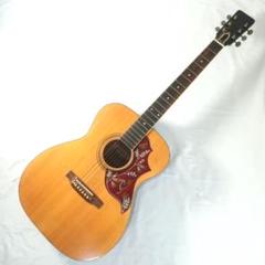 Raforet F-101 ハミングバードタイプ アコースティックギター Raforet F-101 ハミングバードタイプ アコースティックギター