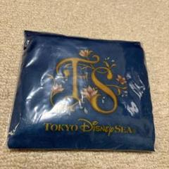 2025年最新】キャスト限定 ファンタジースプリングスの人気