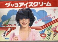 クラシック 80年代当時品《松田聖子》グリコポスター - タレントグッズ のオンラインショップ 80年代当時品《松田聖子》グリコポスター アイドル