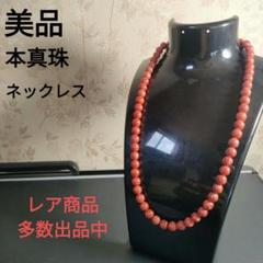 ひ286　美品　本珊瑚　赤サンゴ　SILVER ネックレス
