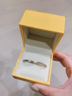 ペアリング レディース ディズニーの中古 未使用品を探そう メルカリ