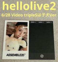 tripleS Assemble25 hellolive2 子犬 ヨンジ