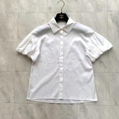 最新最全のをすべて 美品♡近年モデル フォクシー ブラウス 半袖 パフスリーブ トップス