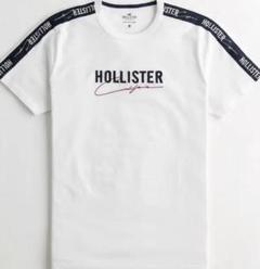 《新品》超最新 ホリスター 刺繍ロゴ グラフィックTシャツ c