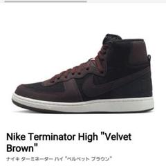 ★NIKE★大人気★TERMINATOR HIGH SE “VELVET BROWN”★追跡可 Nike Terminator High 
