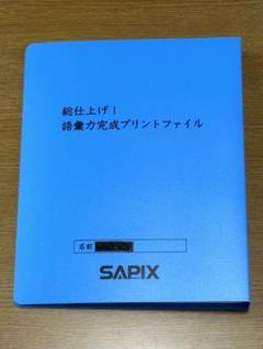 2025年最新】サピックス語彙力完成プリントの人気アイテム
