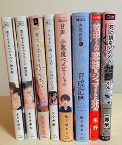 BL漫画 まとめ売り可 バラ売り可 8冊 小冊子 リーフレット