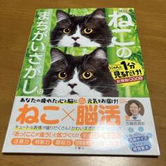 毎日脳活スペシャル ねこのまちがいさがし12 (Q27)