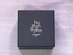 RADWIMPS ピアス ブラック スタッドピアス Amazon.co.jp: Radwimps ピアス Human Bloom 片方 : ファッション