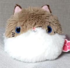 ねこだんご ラグドール