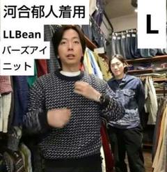 レア美品80s llbean バーズアイニット在原みゆ紀リブ良好神サイズ