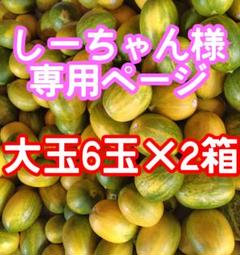 長崎県島原半島産パパイヤメロン大玉6玉×2箱セット 長崎県島原半島産パパイヤメロン大玉6玉×2箱セット - メルカリ