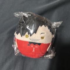 ハイキュー ふわコロりん Mサイズ 孤爪研磨 黒尾鉄朗 中学生ver. ハイキュー ふわコロりん Mサイズ 孤爪研磨&黒尾鉄朗(中学生ver